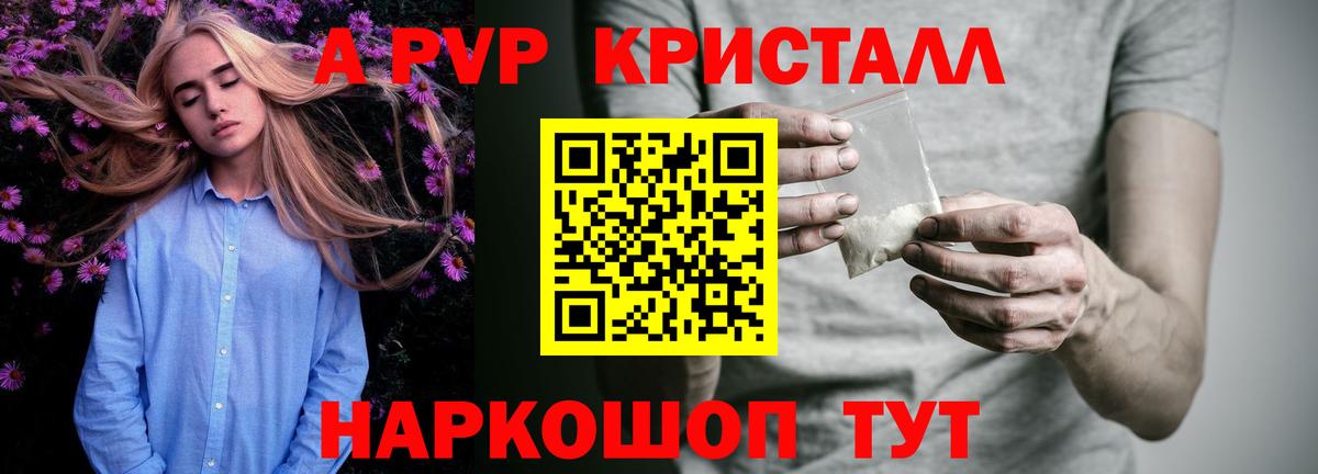 Альфа ПВП СК КРИС Орёл