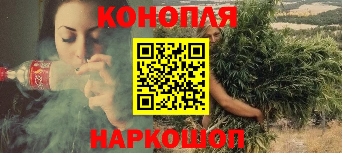 Конопля гибрид Орёл